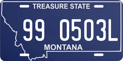 MT license plate 990503L