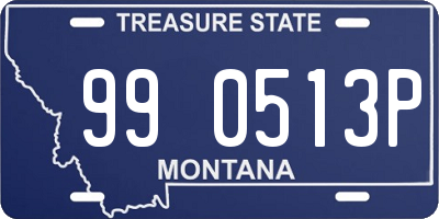 MT license plate 990513P