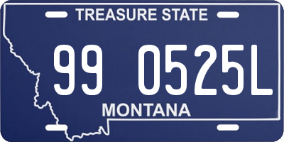 MT license plate 990525L