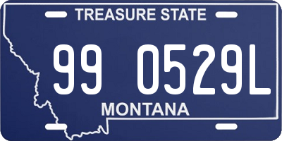 MT license plate 990529L