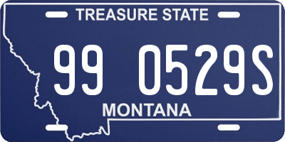 MT license plate 990529S