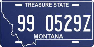 MT license plate 990529Z