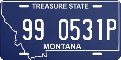 MT license plate 990531P