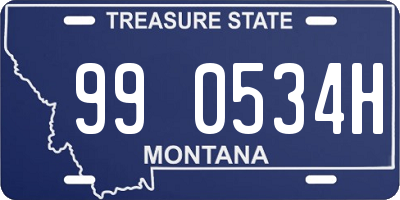 MT license plate 990534H