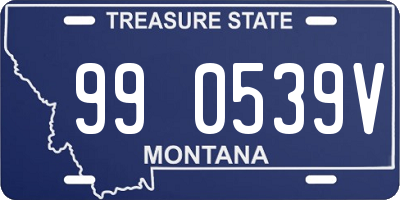 MT license plate 990539V