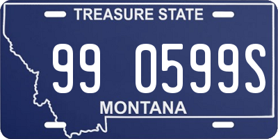 MT license plate 990599S