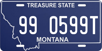 MT license plate 990599T