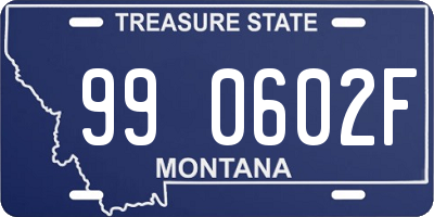 MT license plate 990602F