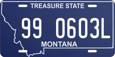 MT license plate 990603L