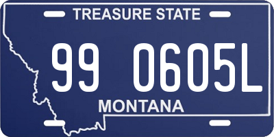 MT license plate 990605L