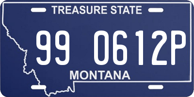 MT license plate 990612P