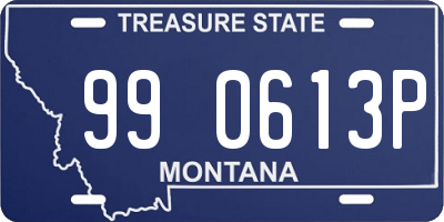 MT license plate 990613P