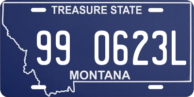 MT license plate 990623L