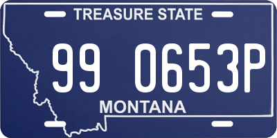 MT license plate 990653P