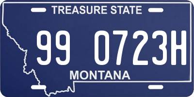 MT license plate 990723H