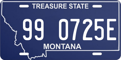 MT license plate 990725E