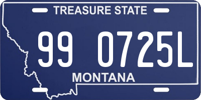 MT license plate 990725L