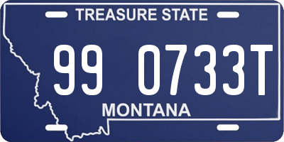 MT license plate 990733T