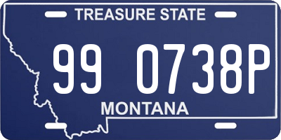 MT license plate 990738P