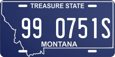 MT license plate 990751S