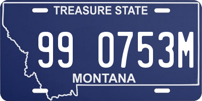 MT license plate 990753M