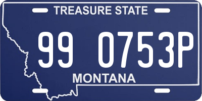 MT license plate 990753P