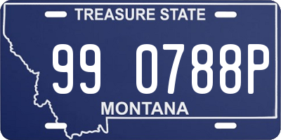 MT license plate 990788P