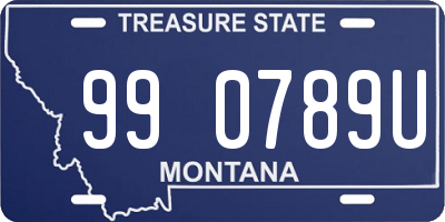 MT license plate 990789U