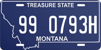 MT license plate 990793H