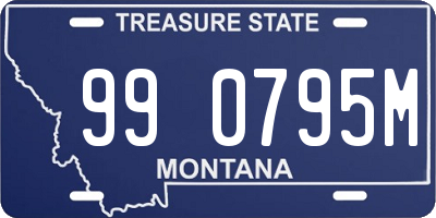MT license plate 990795M