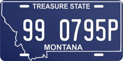 MT license plate 990795P