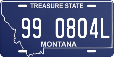 MT license plate 990804L