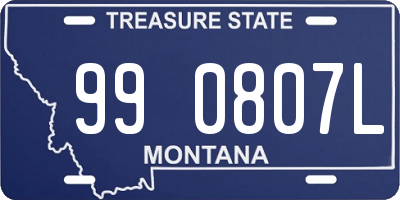 MT license plate 990807L