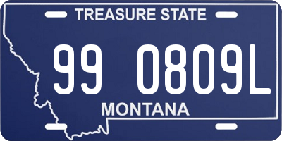 MT license plate 990809L