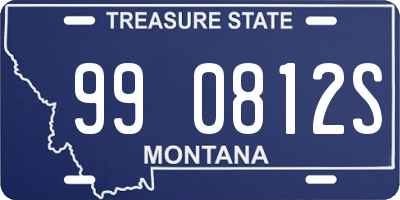 MT license plate 990812S