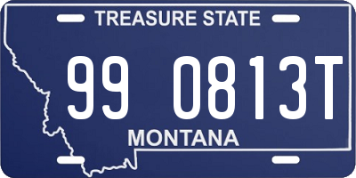 MT license plate 990813T