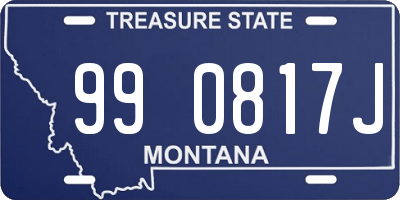 MT license plate 990817J