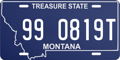 MT license plate 990819T