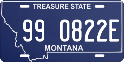 MT license plate 990822E