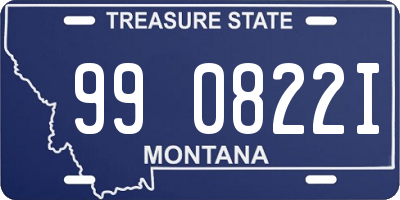 MT license plate 990822I