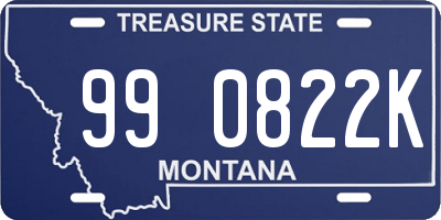 MT license plate 990822K