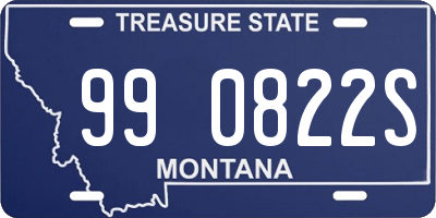 MT license plate 990822S