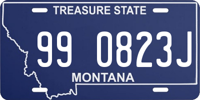 MT license plate 990823J