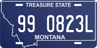 MT license plate 990823L