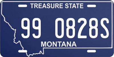 MT license plate 990828S