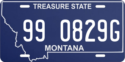 MT license plate 990829G