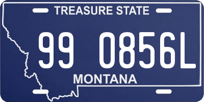 MT license plate 990856L