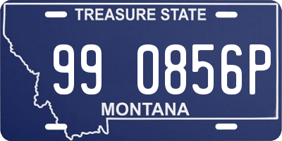 MT license plate 990856P