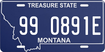 MT license plate 990891E