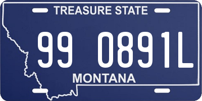 MT license plate 990891L